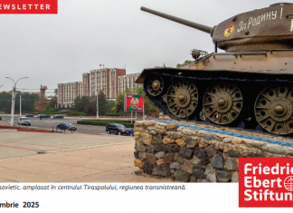 Newsletter, November 2025